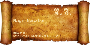 Mayr Nesztor névjegykártya